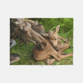 Zender Mother Moose Fleecedecke (Vorderseite (Horizontal))