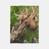 Zender Mother Moose Fleecedecke (Vorderseite)
