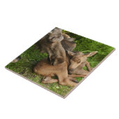 Zender Mother Moose Fliese (Seite)