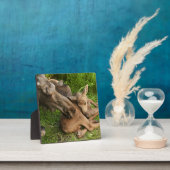 Zender Mother Moose Fotoplatte (InSitu)