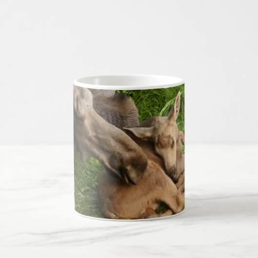 Zender Mother Moose Kaffeetasse (Mittel)