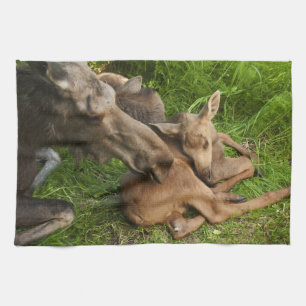 Zender Mother Moose Küchentuch