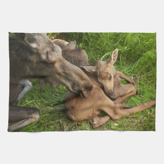 Zender Mother Moose Küchentuch (Horizontal)
