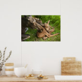 Zender Mother Moose Poster (Küche)