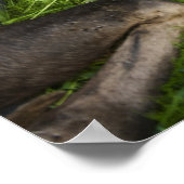 Zender Mother Moose Poster (Ecke)