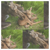 Zender Mother Moose Stoff (Nahaufnahme)