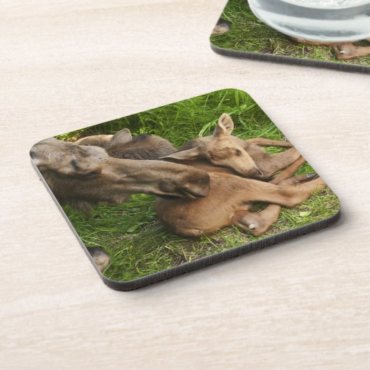 Zender Mother Moose Untersetzer (Linke Seite)