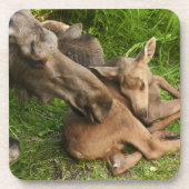 Zender Mother Moose Untersetzer (Vorderseite)