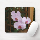 Zenorchideen Mousepad (Mit Mouse)