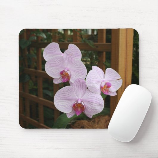 Zenorchideen Mousepad (Mit Mouse)