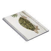 Zent Tortoise | Schildkrötenmeer Notizblock (Rechte Seite)
