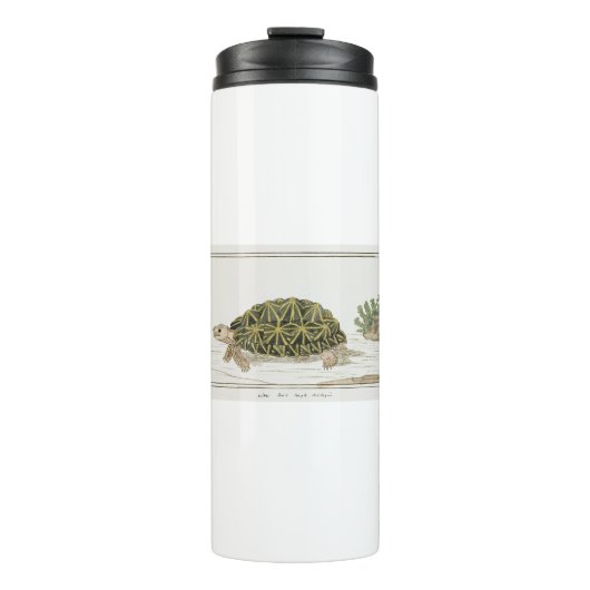 Zent Tortoise | Schildkrötenmeer Thermosbecher (Vorderseite)