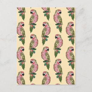 Zentangle Style Parrots 2 Postkarte