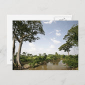 Zentral-Togo, Westafrika. Postkarte (Vorne/Hinten)