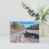 Zentralalia Pennsylvania Graffiti Postkarte (Stehend Vorderseite)