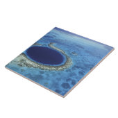 ZENTRALAMERIKA, Belize, große Korallenriffe abseit Fliese (Seite)