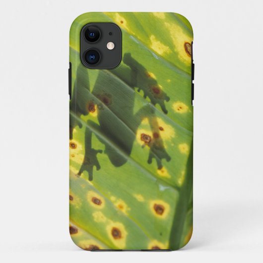 ZENTRALAMERIKA, Costa Rica, Frosch in der Hinterbe Case-Mate iPhone Hülle (Rückseite)