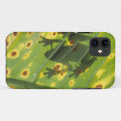 ZENTRALAMERIKA, Costa Rica, Frosch in der Hinterbe Case-Mate iPhone Hülle (Rückseite (Horizontal))