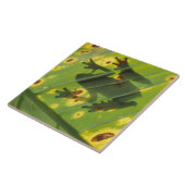 ZENTRALAMERIKA, Costa Rica, Frosch in der Hinterbe Fliese (Seite)