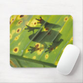 ZENTRALAMERIKA, Costa Rica, Frosch in der Hinterbe Mousepad (Mit Mouse)