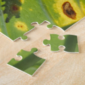 ZENTRALAMERIKA, Costa Rica, Frosch in der Hinterbe Puzzle (Seite)