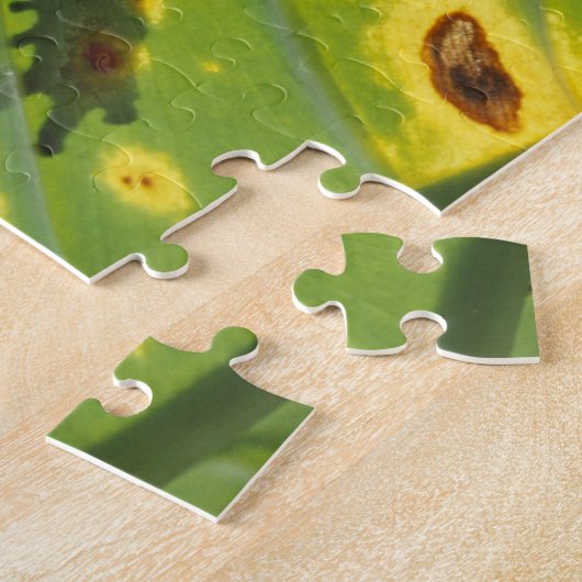 ZENTRALAMERIKA, Costa Rica, Frosch in der Hinterbe Puzzle (Seite)