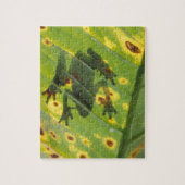 ZENTRALAMERIKA, Costa Rica, Frosch in der Hinterbe Puzzle (Vertikal)