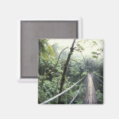 Zentralamerika, Costa Rica, Monteverde Cloud Magnet (Vorderseite/Rückseite)