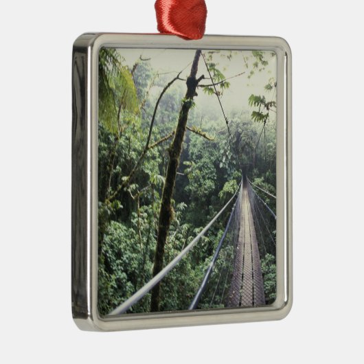Zentralamerika, Costa Rica, Monteverde Cloud Silbernes Ornament (Rechts)