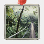 Zentralamerika, Costa Rica, Monteverde Cloud Silbernes Ornament (Vorne)