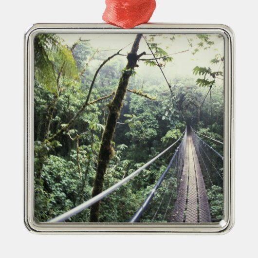Zentralamerika, Costa Rica, Monteverde Cloud Silbernes Ornament (Vorne)