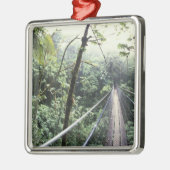 Zentralamerika, Costa Rica, Monteverde Cloud Silbernes Ornament (Links)