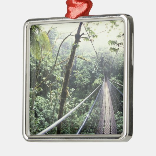 Zentralamerika, Costa Rica, Monteverde Cloud Silbernes Ornament (Links)