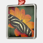 Zentralamerika, Costa Rica, Selva Verde Silbernes Ornament (Links)