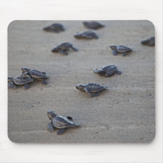 Zentralamerika, El Salvador, Pazifik Mousepad (Vorne)