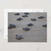 Zentralamerika, El Salvador, Pazifik Postkarte (Vorne/Hinten)