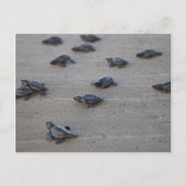 Zentralamerika, El Salvador, Pazifik Postkarte (Vorderseite)