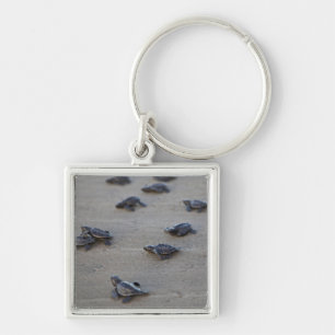 Zentralamerika, El Salvador, Pazifik Schlüsselanhänger