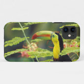 Zentralamerika, Honduras. Tastenbeladener Toucan Case-Mate iPhone Hülle (Rückseite (Horizontal))