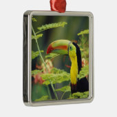 Zentralamerika, Honduras. Tastenbeladener Toucan Ornament Aus Metall (Rechts)