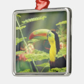 Zentralamerika, Honduras. Tastenbeladener Toucan Ornament Aus Metall (Links)