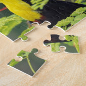 Zentralamerika, Honduras. Tastenbeladener Toucan Puzzle (Seite)
