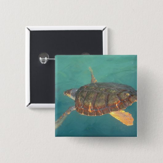 Zentralamerika, Panama, Bocas del Torro Button (Vorne & Hinten)