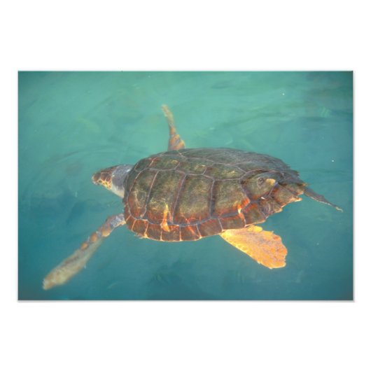 Zentralamerika, Panama, Bocas del Torro Fotodruck (Vorne)