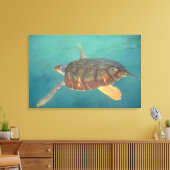 Zentralamerika, Panama, Bocas del Torro Leinwanddruck (Insitu (Wohnzimmer))