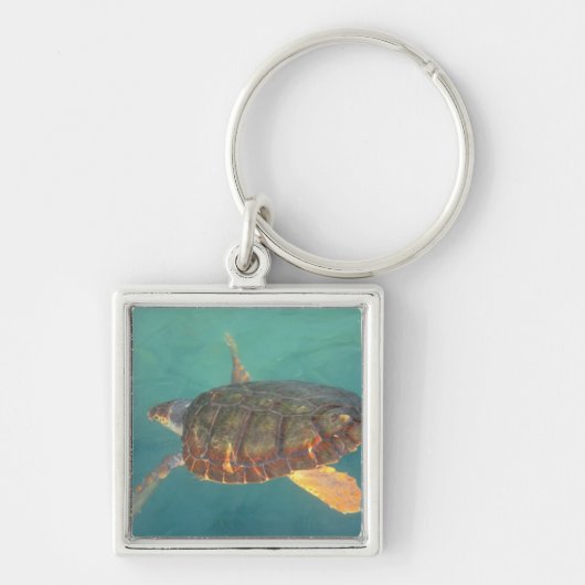 Zentralamerika, Panama, Bocas del Torro Schlüsselanhänger (Vorne)