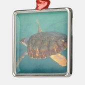 Zentralamerika, Panama, Bocas del Torro Silbernes Ornament (Links)