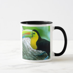 ZENTRALAMERIKA, Panama, Borro Colorado Insel 2 Tasse