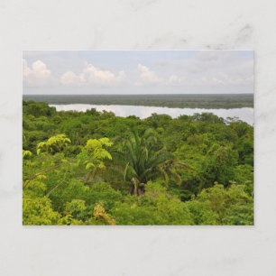 Zentralamerika Regenwald in Belize Postkarte