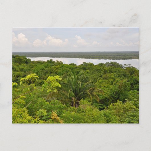 Zentralamerika Regenwald in Belize Postkarte (Vorderseite)